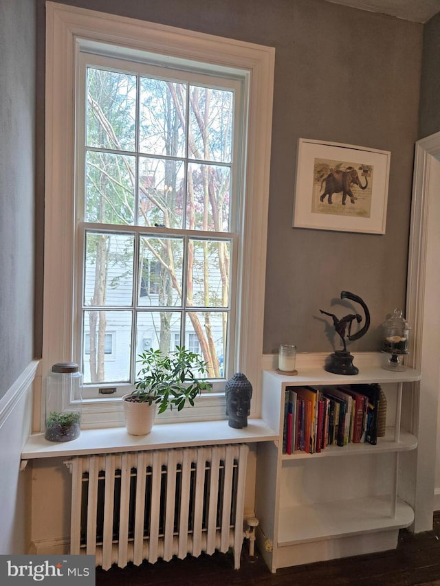 2531 Pickwick Rd, Baltimore, MD 21207 - interior space featuring radiator heating unit