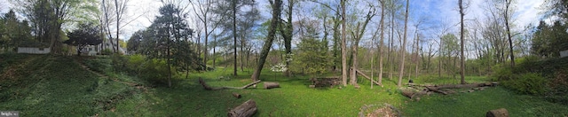 2531 Pickwick Rd, Baltimore, MD 21207 - view of yard