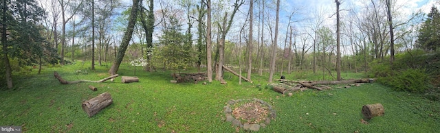 2531 Pickwick Rd, Baltimore, MD 21207 - view of yard