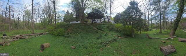 2531 Pickwick Rd, Baltimore, MD 21207 - view of yard