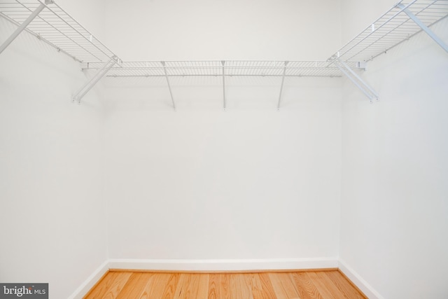 8114 Rainwater Cir, Manassas, VA 20111 - spacious closet featuring light wood-style floors