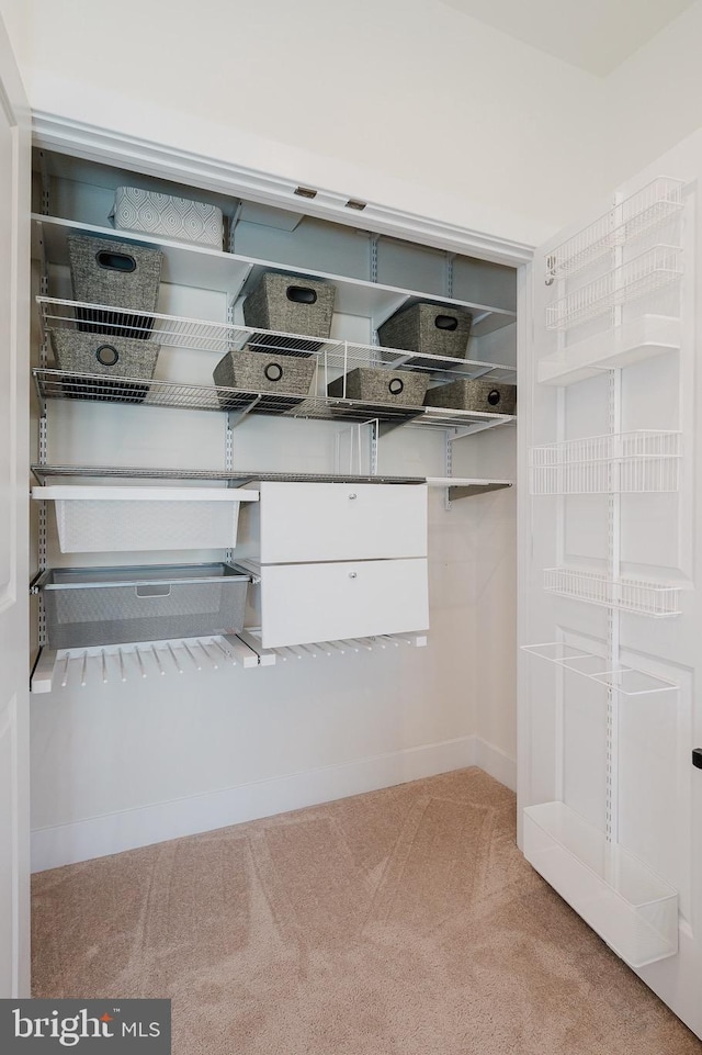 view of closet