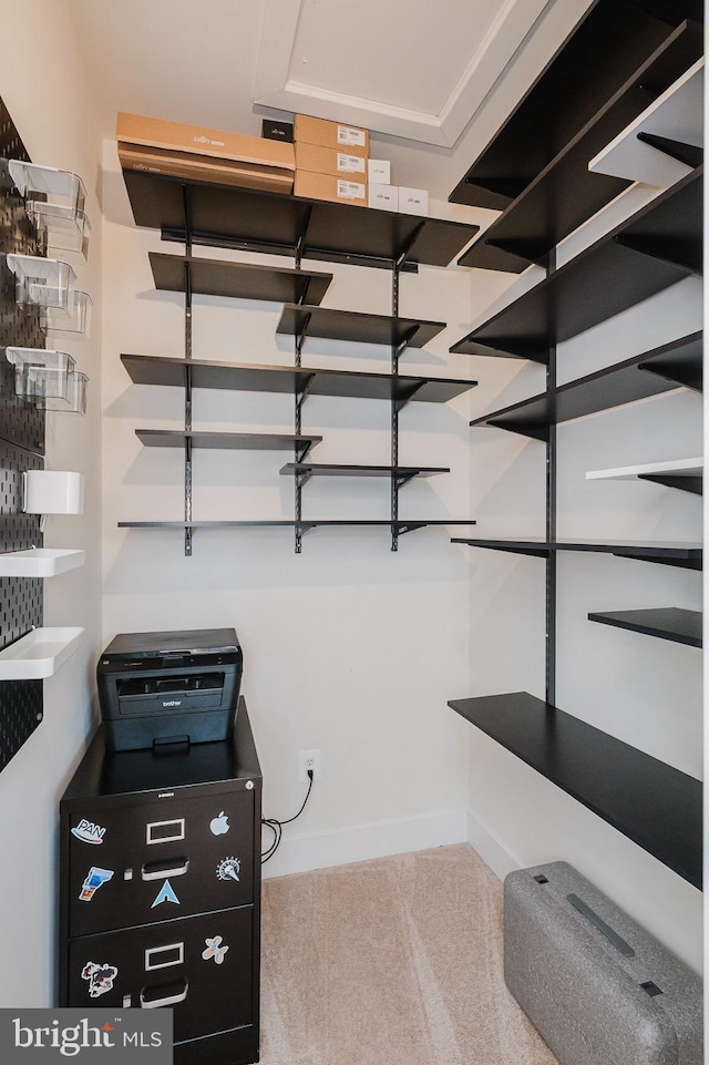view of spacious closet