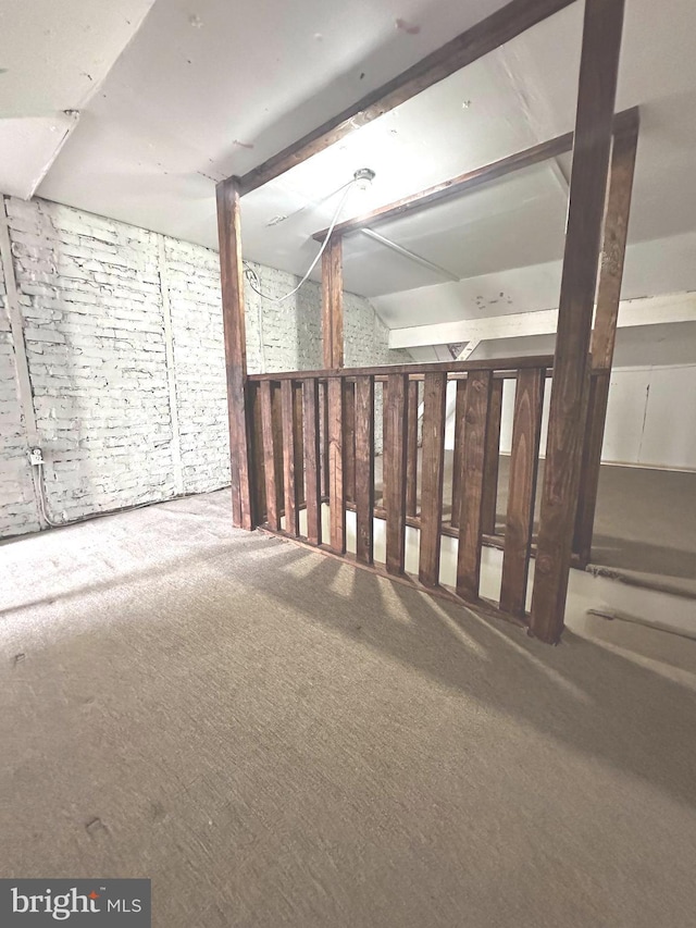 basement featuring carpet