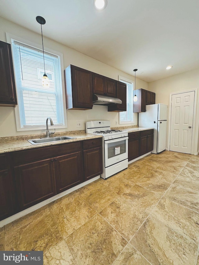 kitchen featuring a sink, a wealth of natural light, white appliances, under cabinet range hood, and dark brown cabinets