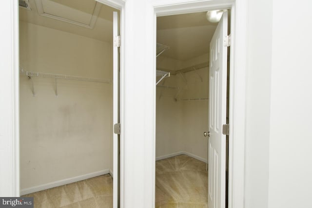 walk in closet with light colored carpet, attic access, and visible vents