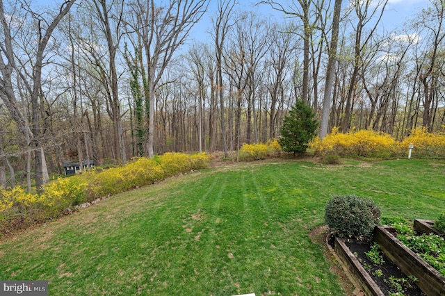 view of yard featuring a vegetable garden
