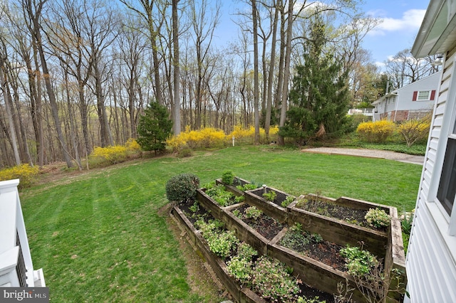 view of yard featuring a vegetable garden