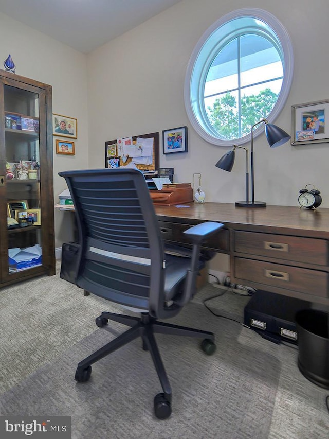 169 E Buckingham Dr, Rehoboth Beach, DE 19971 - view of carpeted office space