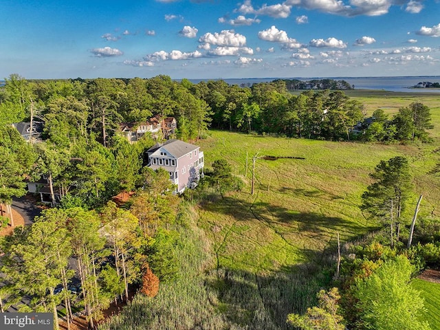 169 E Buckingham Dr, Rehoboth Beach, DE 19971 - bird's eye view of a large body of water and a forest