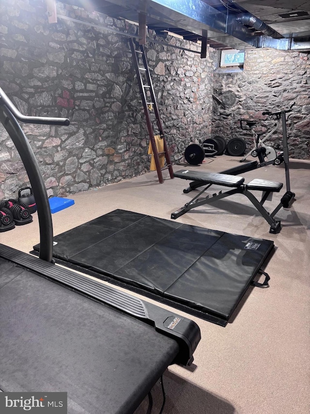 workout room featuring carpet flooring