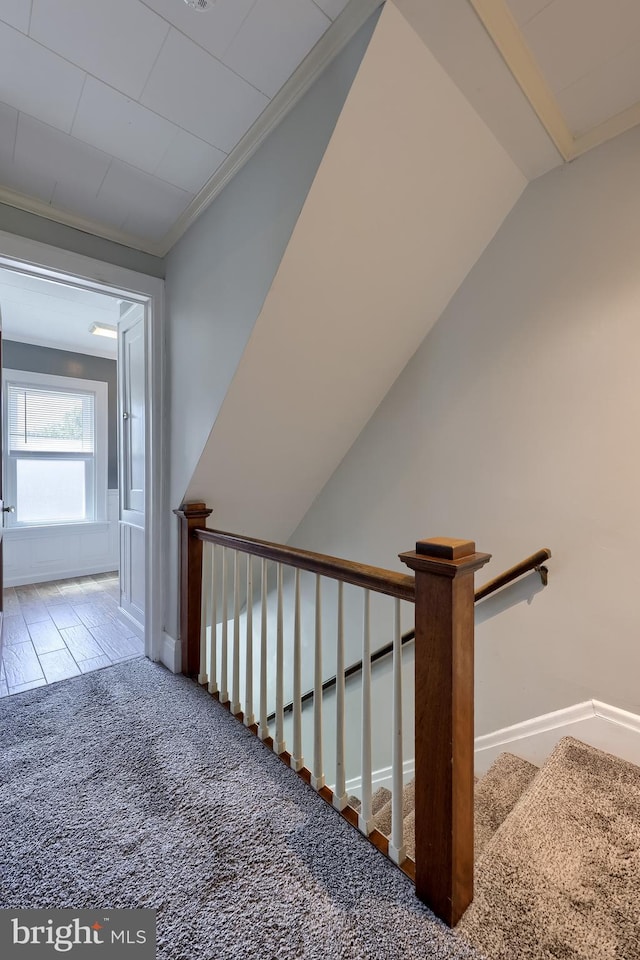 1221 Elm Ave, Lancaster, PA 17603 - corridor featuring carpet flooring, lofted ceiling, crown molding, baseboards, and an upstairs landing