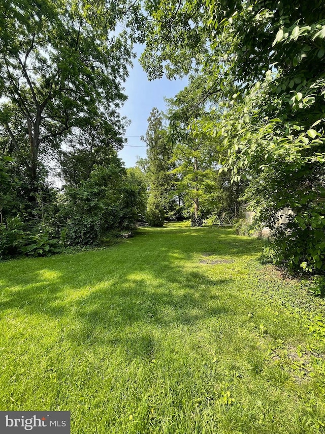 1221 Elm Ave, Lancaster, PA 17603 - view of green lawn