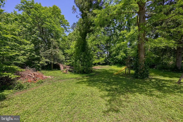 1221 Elm Ave, Lancaster, PA 17603 - view of green lawn
