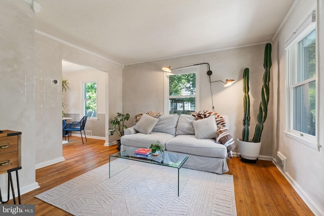6002 Williamsburg Rd, Alexandria, VA 22303 - living area featuring plenty of natural light, wood finished floors, crown molding, and baseboards