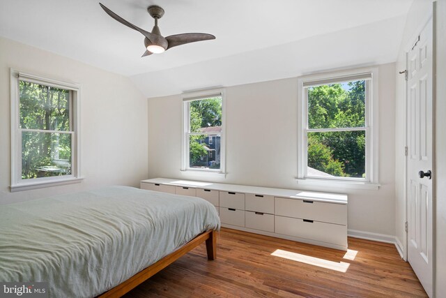 6002 Williamsburg Rd, Alexandria, VA 22303 - bedroom featuring vaulted ceiling, light wood-type flooring, multiple windows, baseboards, and ceiling fan