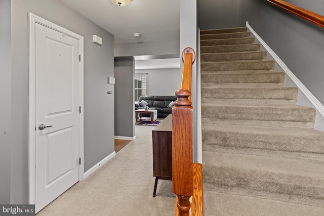 staircase with carpet floors and baseboards