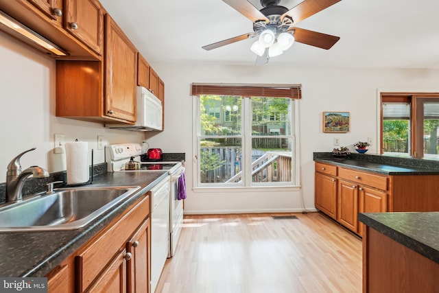 kitchen with light wood finished floors, plenty of natural light, range with electric stovetop, and a sink