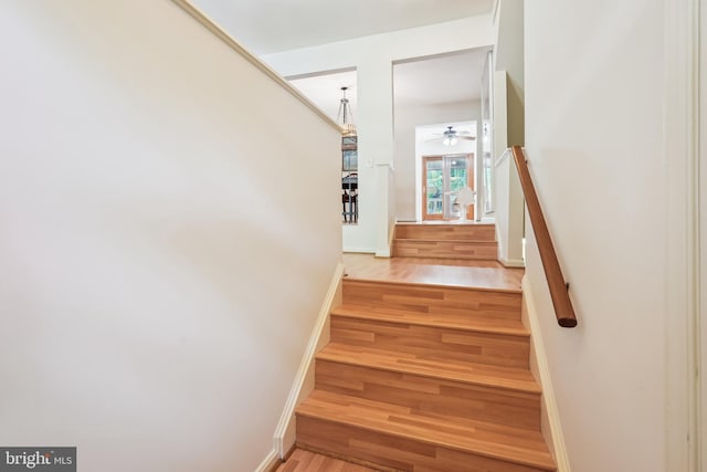 stairs with baseboards, ceiling fan, and wood finished floors