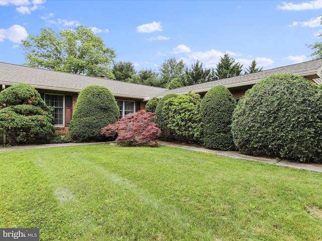 11490 Blue Mountain Dr, Waynesboro, PA 17268 - view of front facade with a front yard, brick siding, and a shingled roof