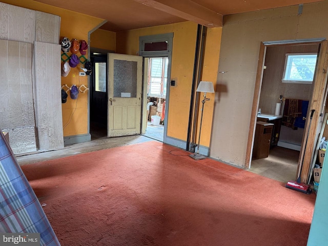 spare room with carpet floors, a baseboard radiator, and a healthy amount of sunlight