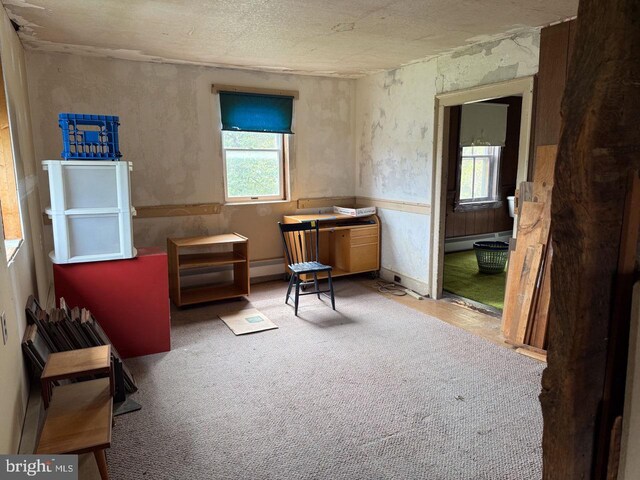 sitting room featuring a baseboard heating unit and carpet floors