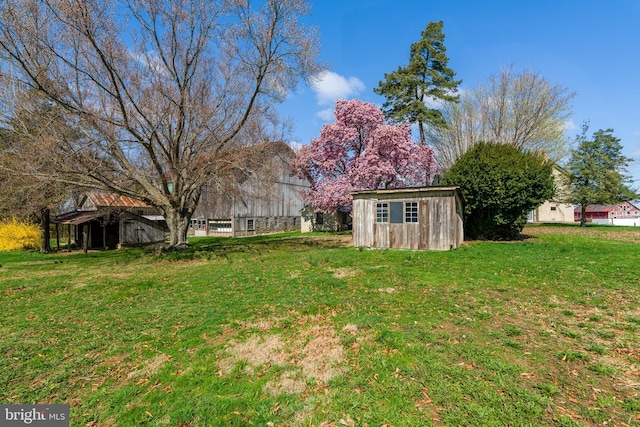 view of yard featuring an outbuilding and a shed
