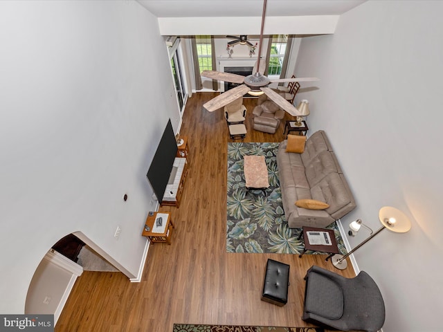 6538 Autumn Olive Dr, Frederick, MD 21703 - living area featuring ceiling fan, wood finished floors, and baseboards