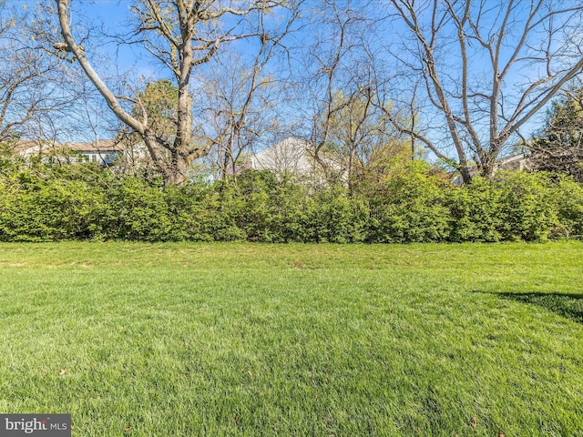 6538 Autumn Olive Dr, Frederick, MD 21703 - view of yard