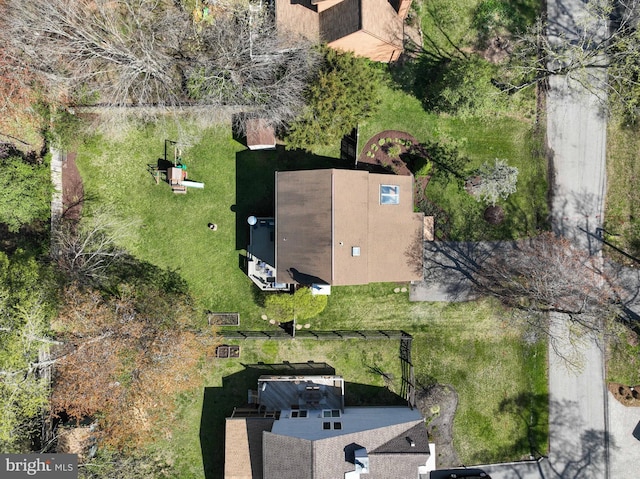 bird's eye view