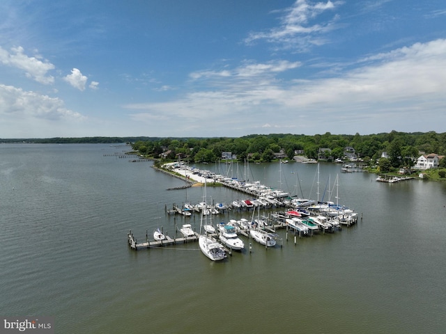 water view with a dock