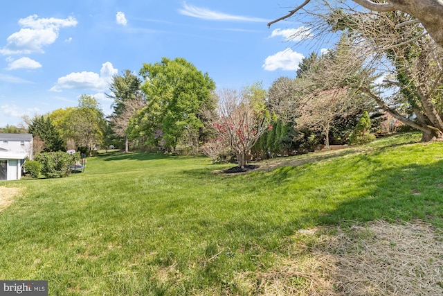 1242 Clearfield Cir, Lutherville Timonium, MD 21093 - view of yard