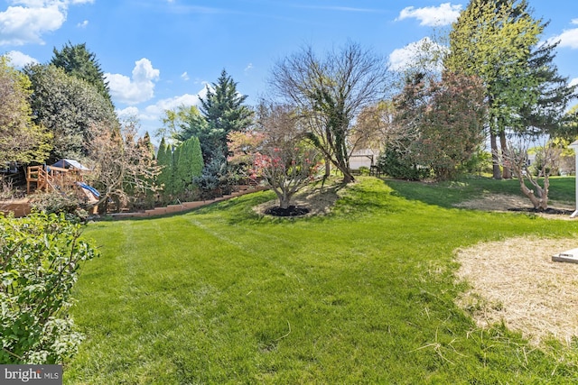 1242 Clearfield Cir, Lutherville Timonium, MD 21093 - view of yard