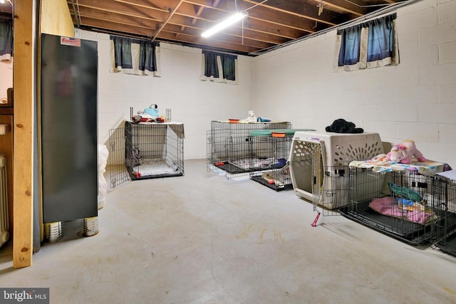 unfinished basement with concrete block wall