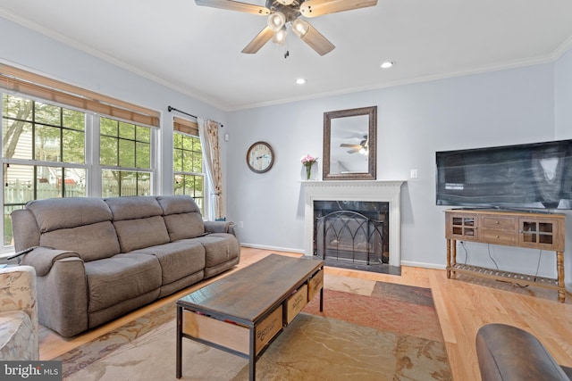 15008 Seneca Knoll Way, Haymarket, VA 20169 - living area with wood finished floors, a ceiling fan, and ornamental molding