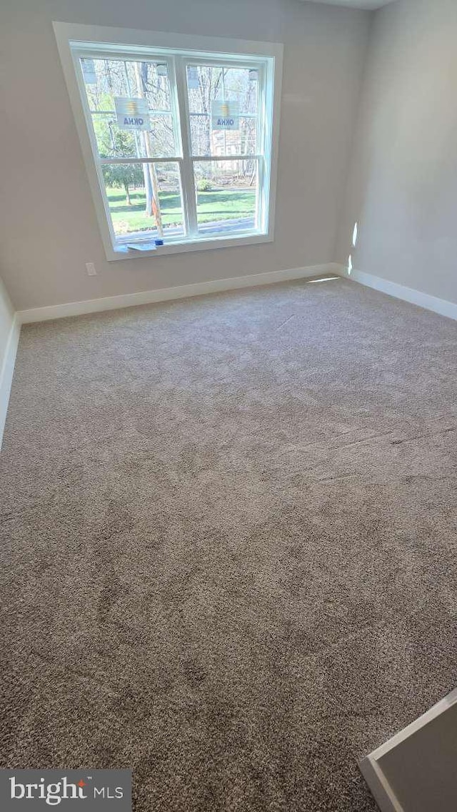 carpeted empty room with a healthy amount of sunlight and baseboards