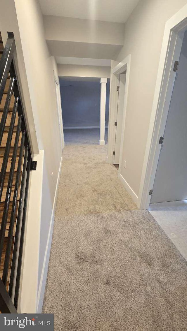 hall with baseboards and carpet floors