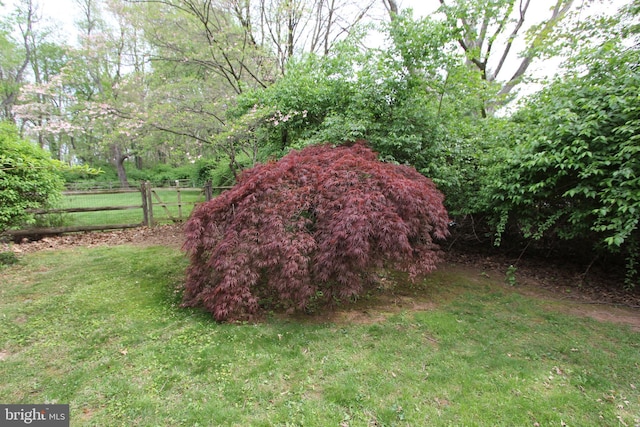 view of yard featuring fence