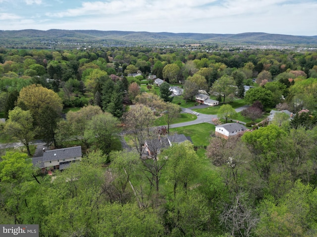 drone / aerial view with a view of trees and a mountain view