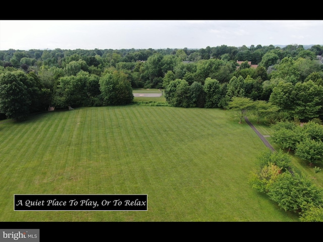bird's eye view