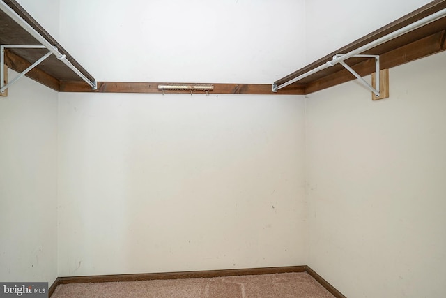 walk in closet with carpet