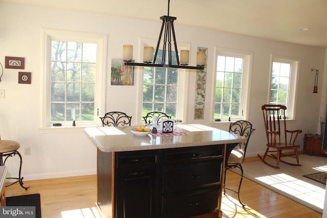 kitchen with light wood-type flooring, a healthy amount of sunlight, and dark cabinetry