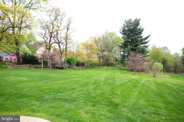 view of yard