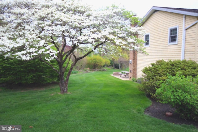 view of yard with a patio