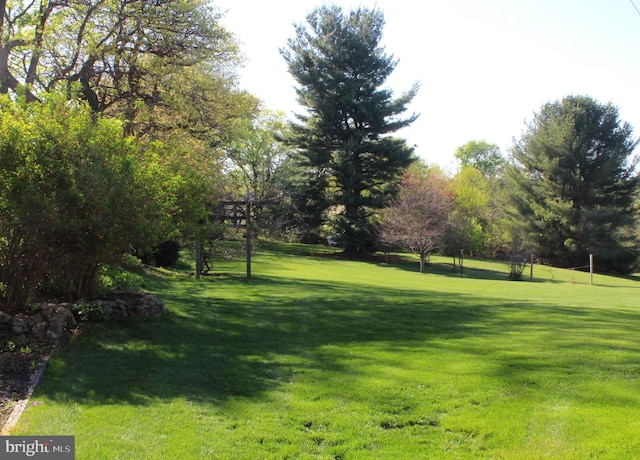view of property's community with a yard