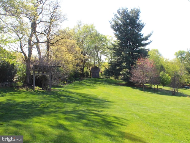view of yard