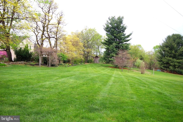 view of yard