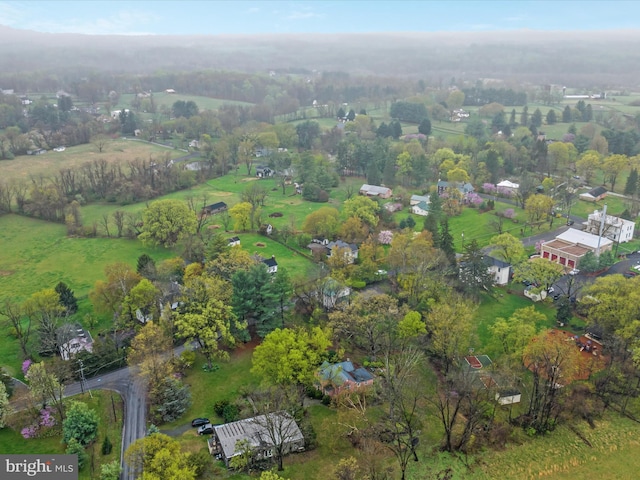 drone / aerial view