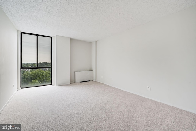 2311 Pimmit Dr Unit 1102, Falls Church, VA 22043 - unfurnished room featuring carpet flooring, a textured ceiling, and radiator