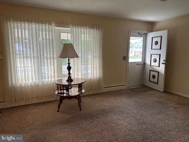 355 George St, Hanover, PA 17331 - carpeted foyer featuring plenty of natural light